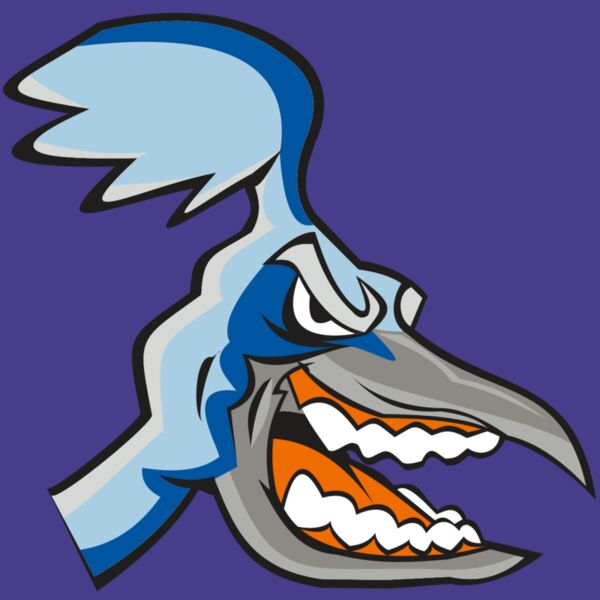 ROADRUNNER HD0504 RQC Thumbnail