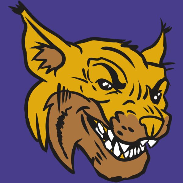 AR15 WILDCAT 01 RQC Thumbnail