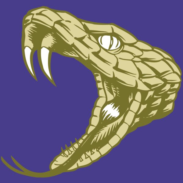 BAW SNAKE 11 RC Thumbnail