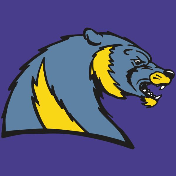 AR5 Wolverine 20 RQC Thumbnail