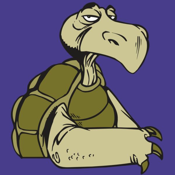 AR5 Turtle 01 RQC Thumbnail