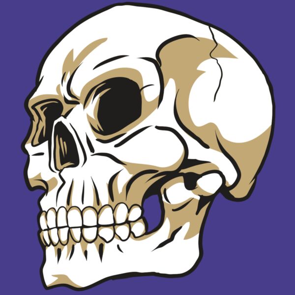 AR24 SKULL 08 RQC Thumbnail