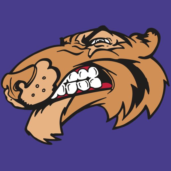 AR5 Tiger 13 RQC Thumbnail