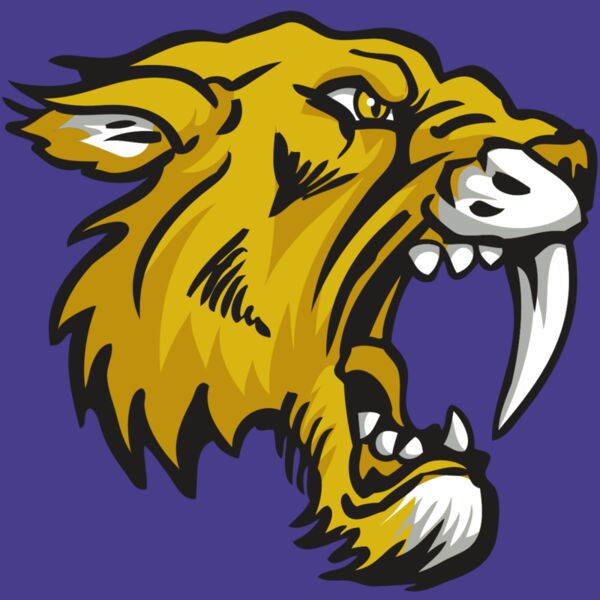 AR30 SABER 03 RQC Thumbnail