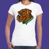 Womens Softstyle Tee Shirt Thumbnail