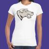 Womens Softstyle Tee Shirt Thumbnail