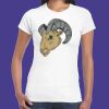 Womens Softstyle Tee Shirt Thumbnail