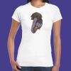 Womens Softstyle Tee Shirt Thumbnail